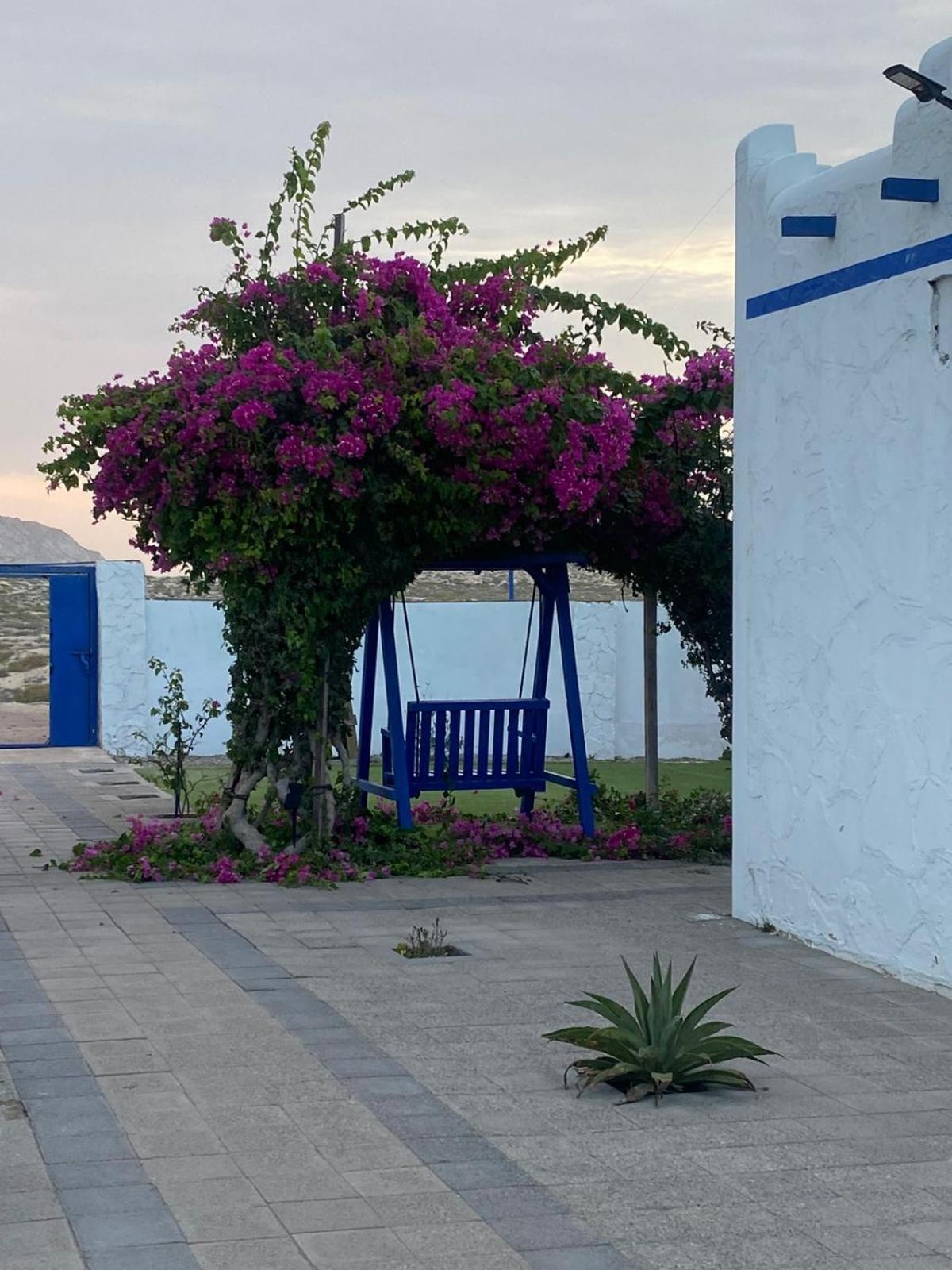 Al-Ashkhara Beach Resort منتجع شاطئ الأشخرة Al Sharqiyah Εξωτερικό φωτογραφία