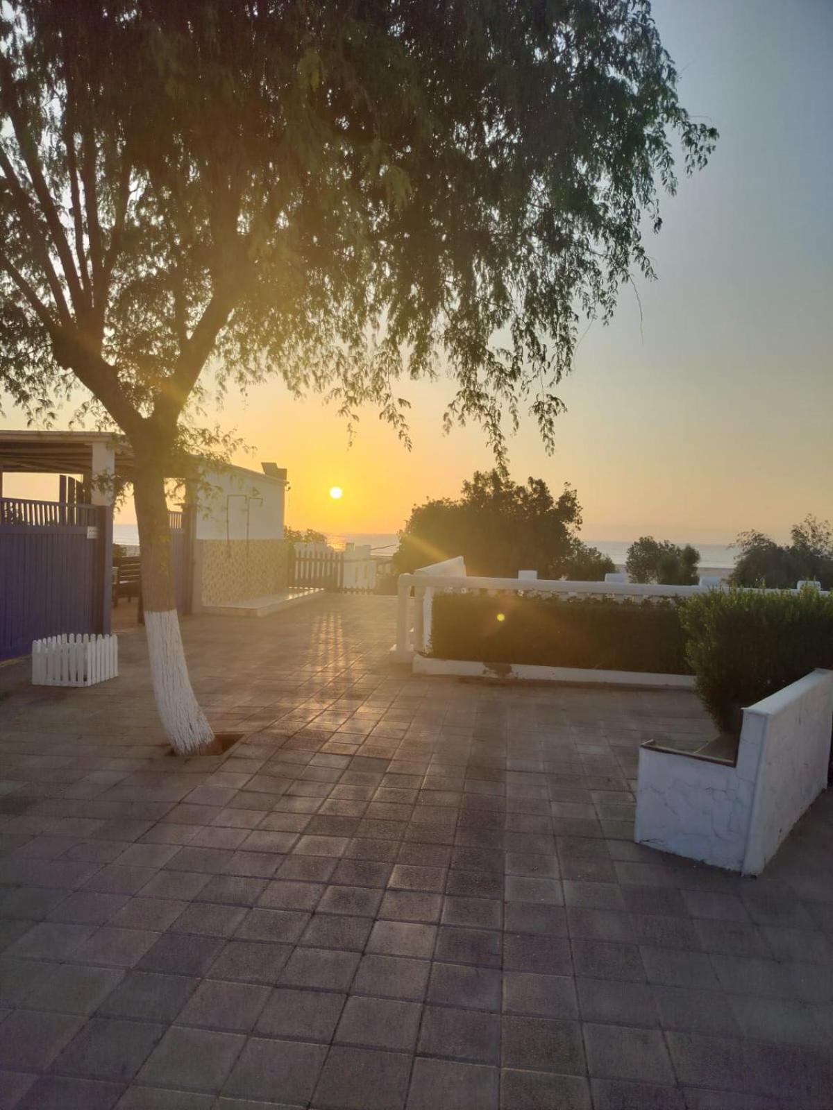 Al-Ashkhara Beach Resort منتجع شاطئ الأشخرة Al Sharqiyah Εξωτερικό φωτογραφία