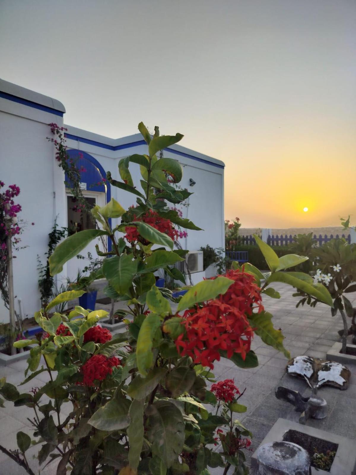 Al-Ashkhara Beach Resort منتجع شاطئ الأشخرة Al Sharqiyah Εξωτερικό φωτογραφία